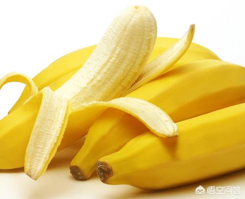 大白熊幼犬喂什么食物:大白熊犬便秘是环境原因吗？
