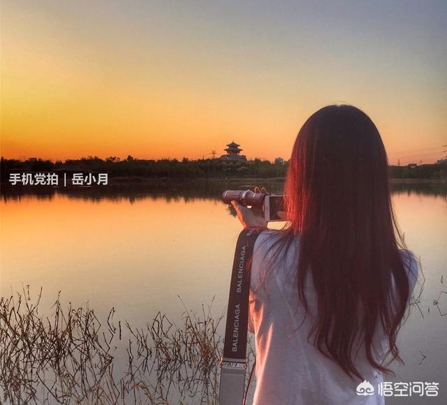爱拍宠物摄影:爱好摄影的你，感觉自己是什么水平？晒出三张照片来分享一下吧？