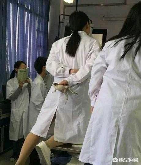 医学的灵异事件:为什么医院太平间，一到晚上就有专人看守？是怕有人偷尸体吗？