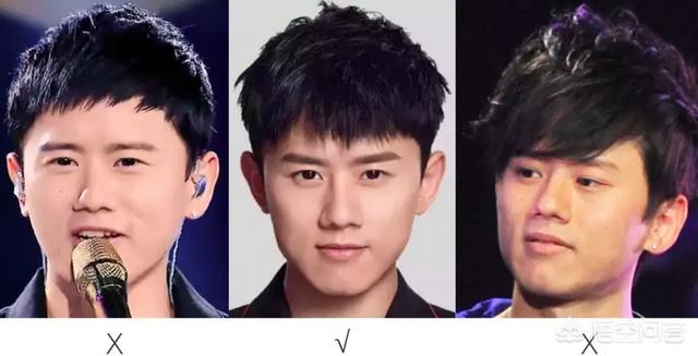 张瀚的眼睛:桃花坞张翰又开始暧昧了，该结婚的年纪他为什么不好好谈恋爱？