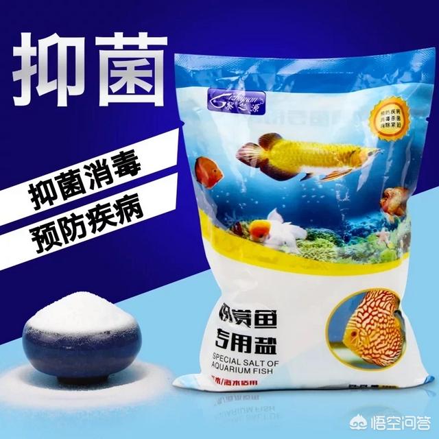 观赏鱼缸该不该加盐，鱼缸加盐对硝化细菌有影响吗