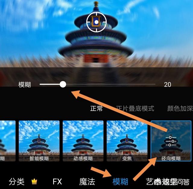 大象鸟树:为什么大象是森林建造者？