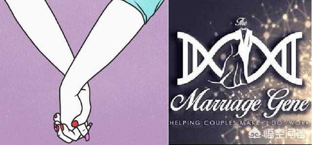 婚配属相重要还是生辰八字重要,根据基因组合来婚配是否可行？