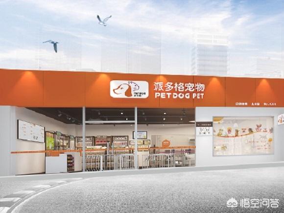 北京宠物店加盟费:宠物店加盟怎么收费？要注意什么？