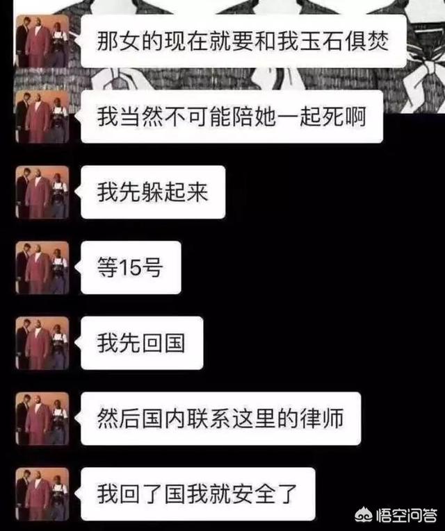 柯基摔狗事件女主人:狗为什么把家里一个当主人，一个做仆人？