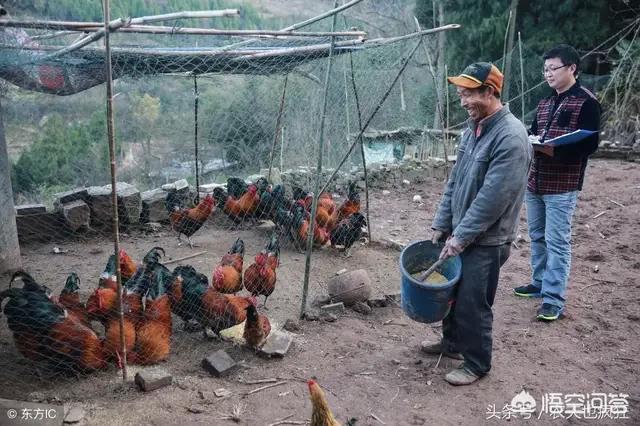 你认为在农村老家一辈子没有结过婚的人是为了什么？