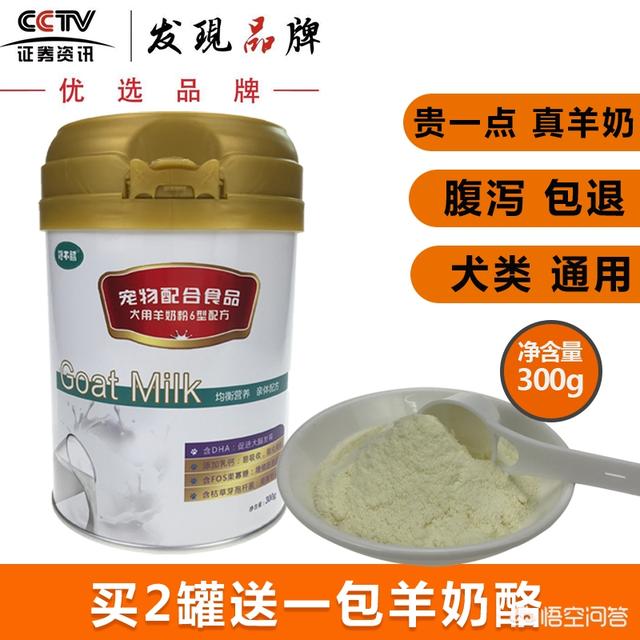 比格犬性格公泰迪绝育:泰迪到底要不要做绝育手术？