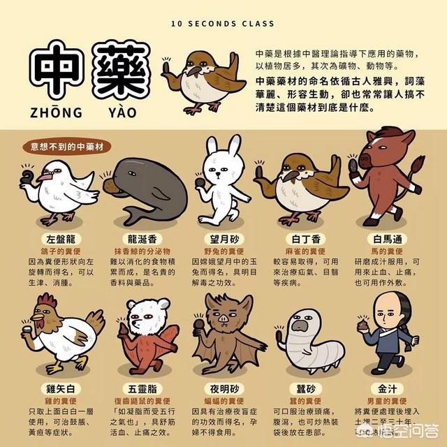 吃大便小游戏:柴犬吃自己的粪便怎么办？