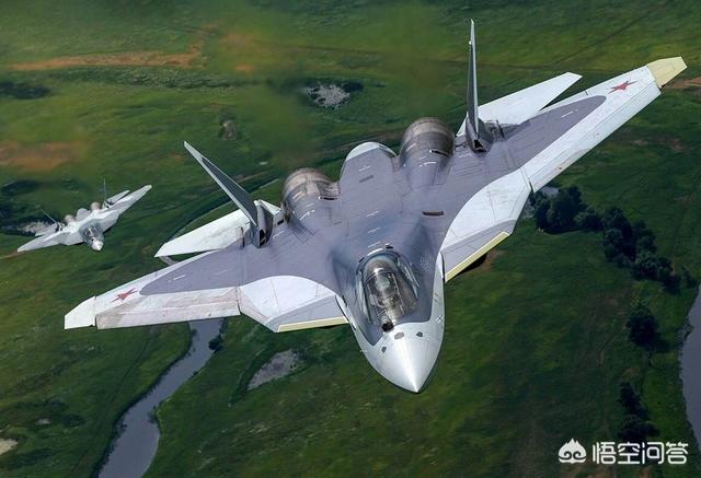 阿根廷巨鸟如同一架小型战斗机:苏57和F35战斗机，哪个更强大？ 巨鸟战斗机