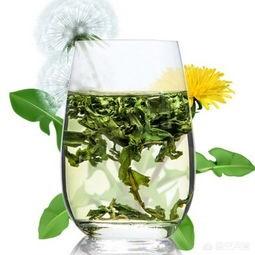 提摩西草怎么保存才鲜绿:蒲公英可以直接晒干泡茶吗，应该怎样做？