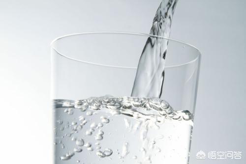 垂耳兔的饲养方法简介:垂耳兔经常拉软便是怎么回事？