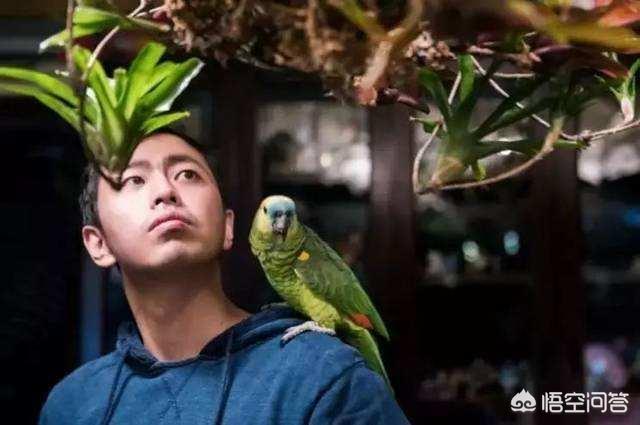 最强大脑王昱珩是哪一期:如何看待《最强大脑》的王昱珩？最近有什么和他相关的新闻？