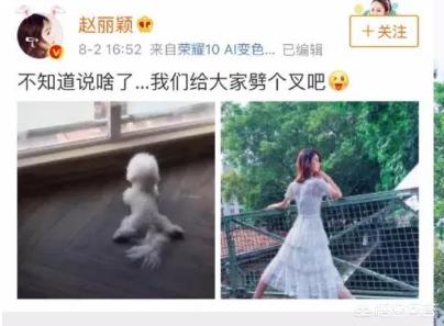 陈紫函否认怀孕:为什么赵丽颖一直不删除那条为她招黑不断的劈叉疑似辟谣的微博？