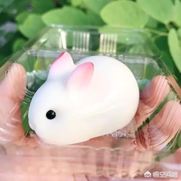 小沙皮狗蛋糕:高颜值食物是否比美味的食物更受欢迎？