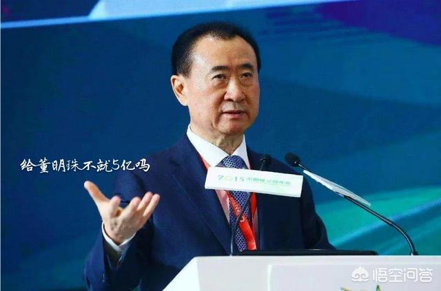 银隆新能源汽车官网，王健林投5亿给董明珠造车，如今赚到钱了吗？
