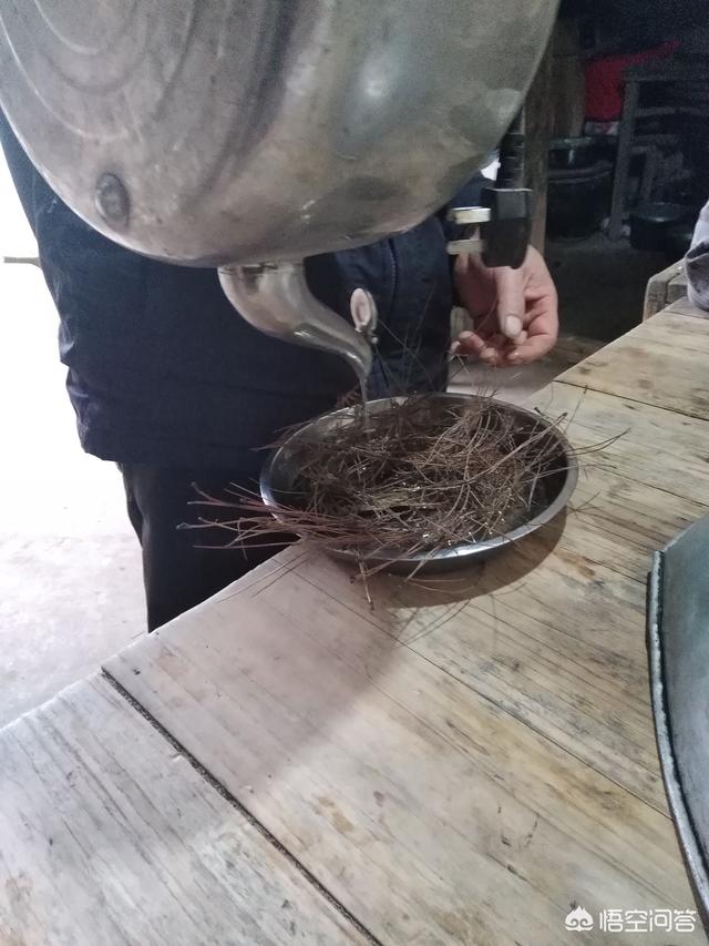 蜜蜂的知识:初次养蜂，购进蜂群后如何开展工作？需要注意哪些问题？