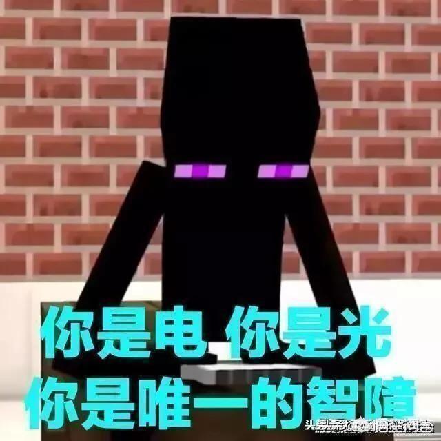 你们认为我的世界中在哪个生物群系风景最好？