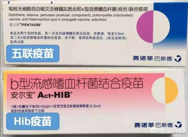 疫苗保护力有多大？，请问有防止非洲猪瘟的疫苗吗