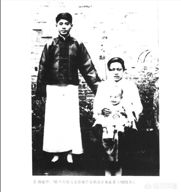 杨振宁有哪些经历？