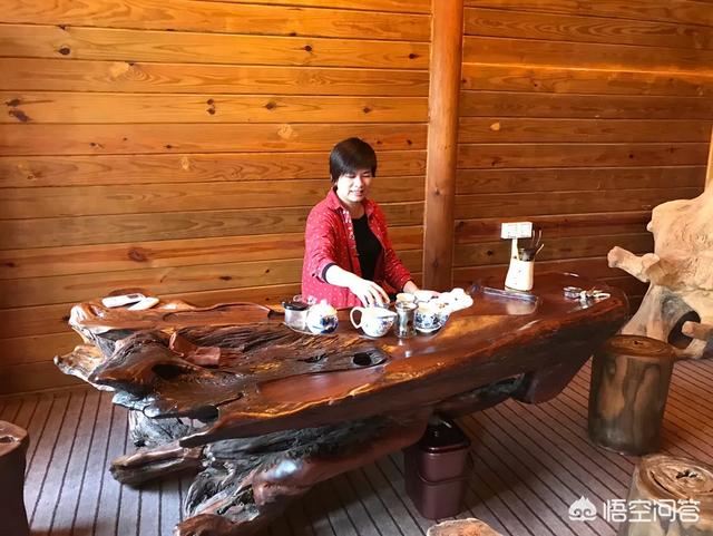 美科学家揭开阿根廷巨鸟飞行奥秘:你会选择去哪个城市或国家旅游？为什么？