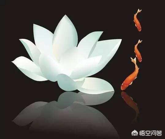 心若冰清,天塌不惊.