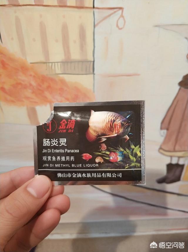 养鹦鹉鱼的鱼缸尺寸:单养30厘米红财神鹦鹉鱼用多大鱼缸养合适？如何养比较好？