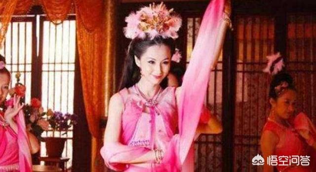 母仪天下分集介绍:什么是