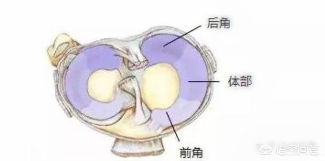 风靡<a href=https://maguai.com/list/256-0-0.html target=_blank class=infotextkey>朋友圈</a>的万能膏药蜜拓蜜虚假宣传实锤:造谣女儿遭老师体罚吐血的家长被刑拘，你怎么看？
