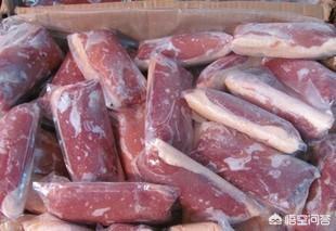 pettime天然犬粮:铲屎官应该如何选择国产狗粮？