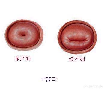 宝妈群体分析:一个母亲生了二胎，是否接下去的人生只能束缚在家庭中？