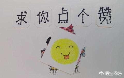 爱情公寓诺兰:爱情公寓里诺澜为何要他人配音？