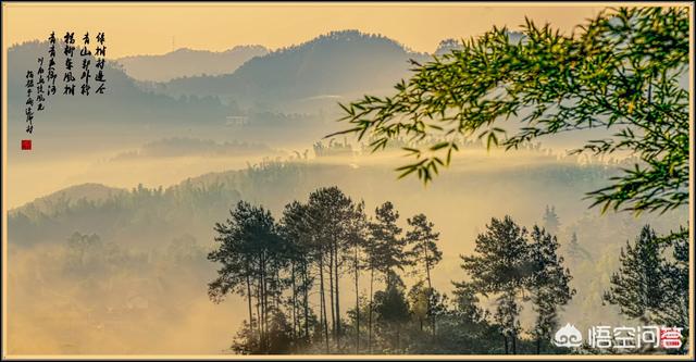摄影师林德伯格去世:是什么原因让你喜欢上摄影的，你是如何坚持的