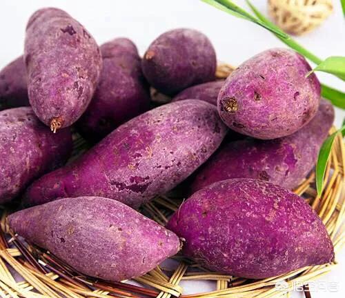 紫薯可以做什么甜品，买了一斤的紫薯回来，有什么好吃做法推荐呢？