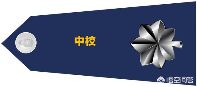 美国退伍军人怎样管理？插图5