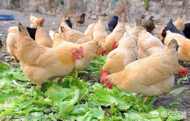 如何确定自己在梦里还是现实,梦境与现实到底有多少联系？