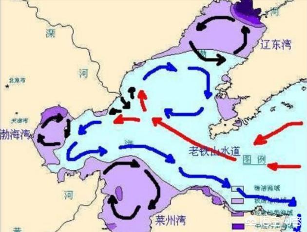 渤海湾洋流图图片
