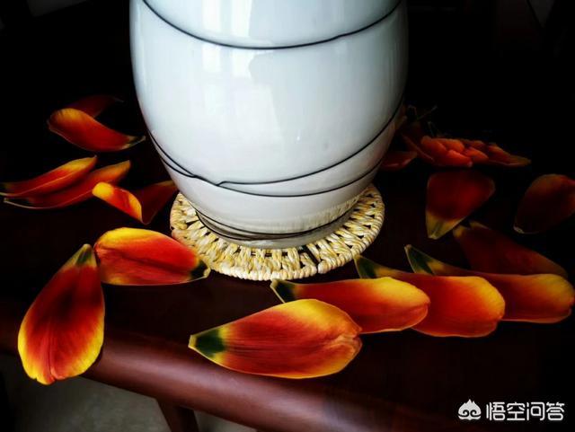 什么蔬菜含钾高？