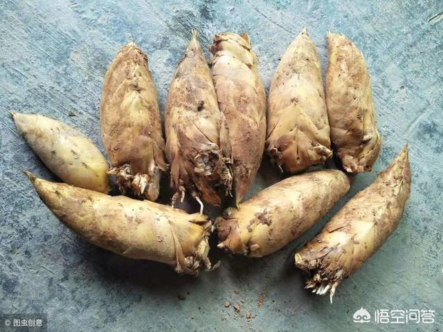 白苜蓿草图片:请问紫花苜蓿苗后用什么除草剂？