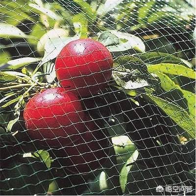 防鸟网:为什么民航发动机口不能安装个防鸟网？