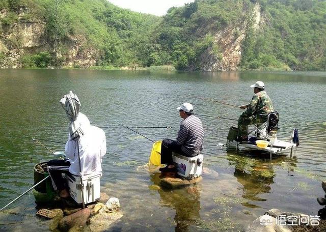 亚峰水族箱专用药片:应该怎样分别应对鱼儿上浮的不同情况？