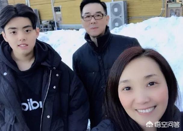 杨泽霖:经典电视剧《大内群英》的主演阵容有谁？他们的近况如何？