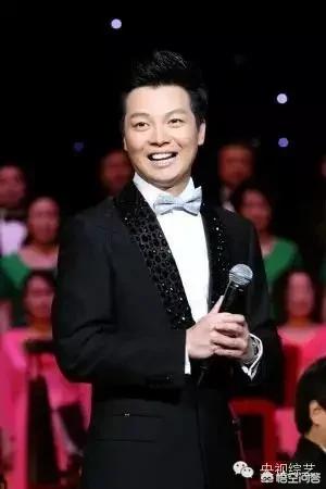 刘万鑫:你认为中国最帅的10位男主持人都有谁？