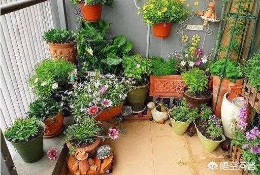 如何制作花肥(如何自制花肥的方法)