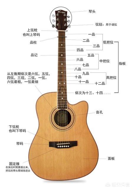 吉他分类,吉他初学者买什么牌子的吉他好？