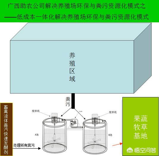 宠物兔养殖基地建设实施方案:畜禽养殖废弃物资源化利用都有哪些模式？