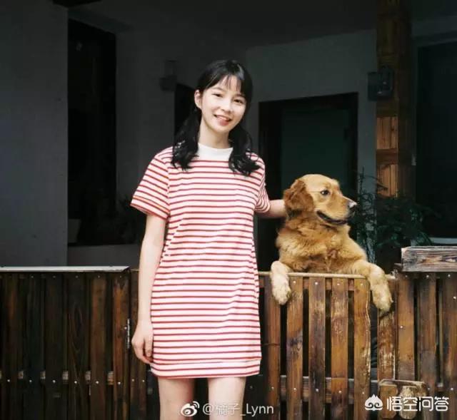 无锡 宠物摄影:怎样才能给宠物拍出美美的照片？ 无锡宠物摄影工作室