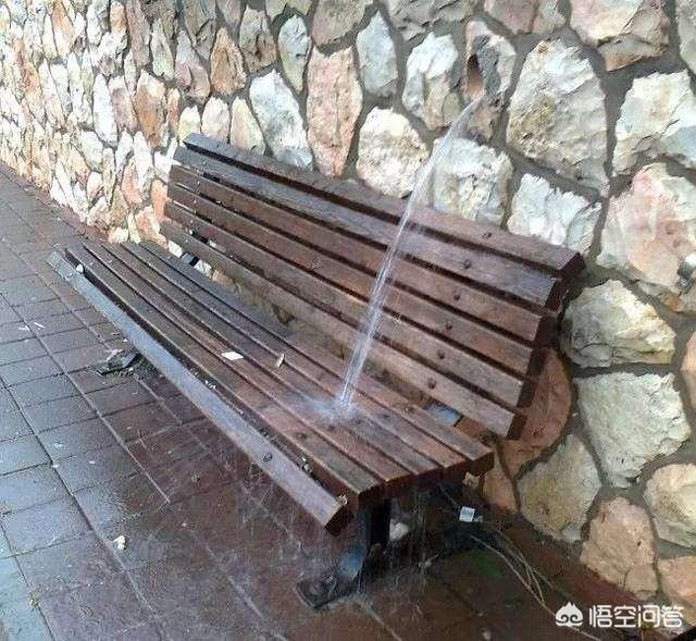 博来恩和海乐妙能同时使用吗:家里猫下小猫家里很多跳蚤，杀了又有，杀了又有，咋办？