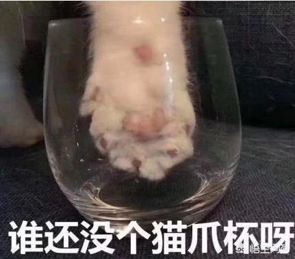 游戏圈都有哪些被营销炒作,炒出天价的游戏道具？