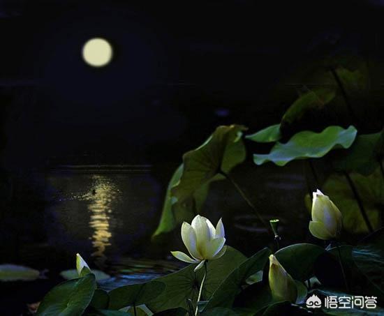 八字难学还是风水难学,都说《易经》很难学，它究竟难在哪里？