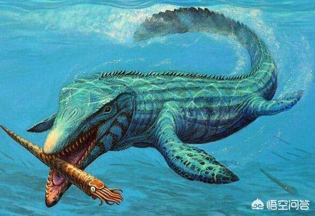 哥斯拉原型海鬣蜥:崖蜥是如何进化成沧龙称霸海洋的？